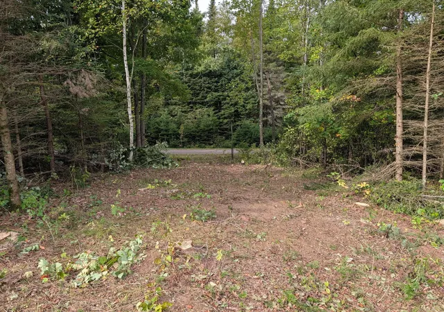 Photo 4 of Land for sale at N3860 Kostka Rd, Ladysmith, WI 54848 | MLS# 7086448 | Listing updated on 2026-10-01