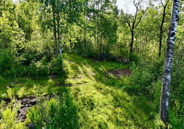 Photo 2 of Land for sale at Tbd Highway 65, Isle, MN 56342 | MLS# 7086544 | Listing updated on 2026-09-22