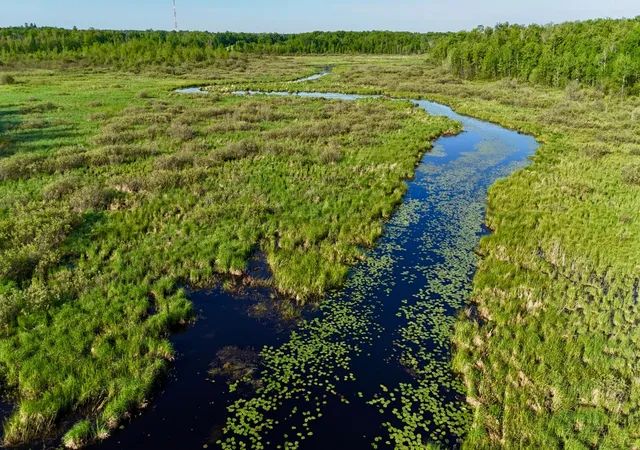 Photo 3 of Land for sale at Tbd Highway 65, Isle, MN 56342 | MLS# 7086544 | Listing updated on 2026-09-22
