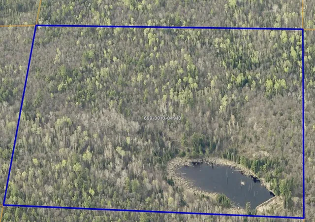 Photo 3 of Land for sale at -, Cook, MN 55723 | MLS# 7086607 | Listing updated on 2026-09-21