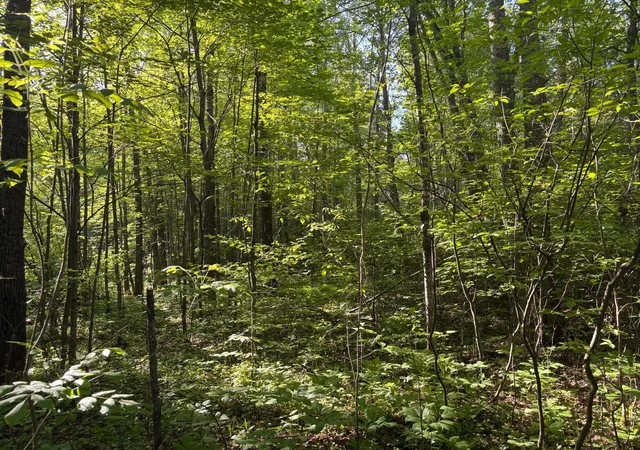 image of Xxx 200th Ave, Mc Gregor, MN 55760 | MLS# 7086645