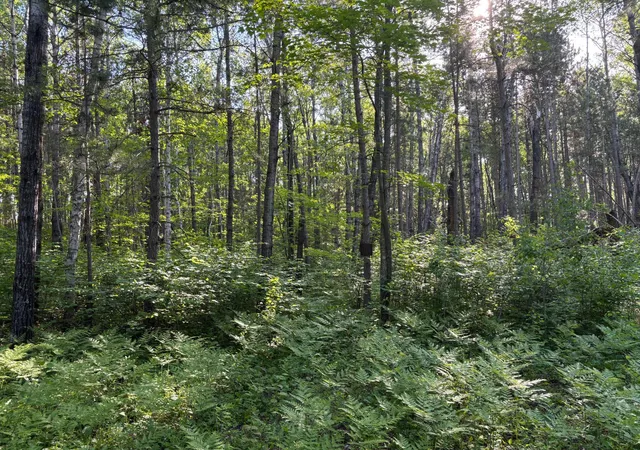 image of Xxx 200th Ave, Mc Gregor, MN 55760 | MLS# 7086645