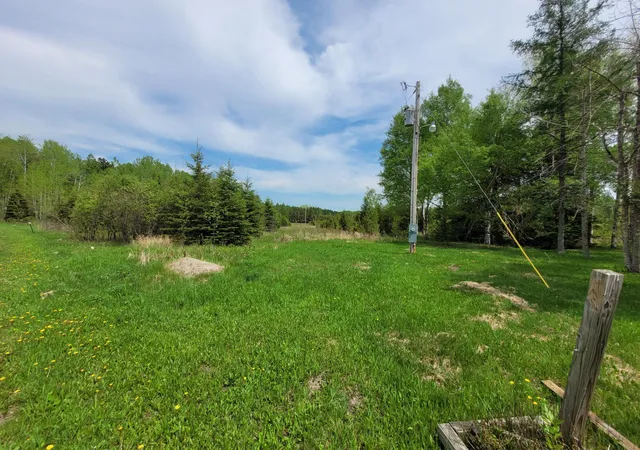 29th image of 68401 County Road 547, Cook, MN 55723 | MLS# 7086714