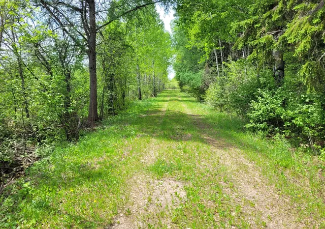 2nd image of 68401 County Road 547, Cook, MN 55723 | MLS# 7086714