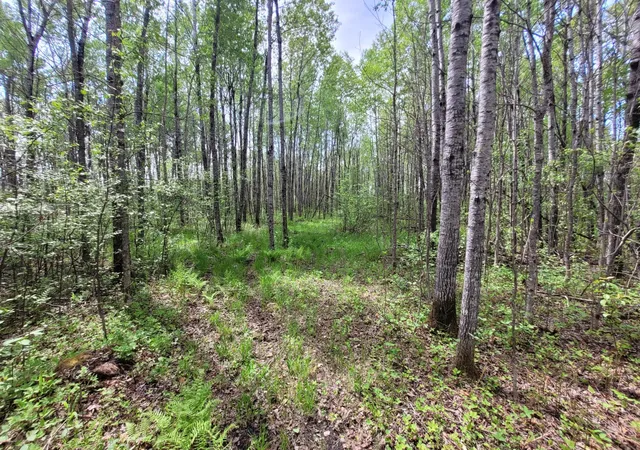 5th image of 68401 County Road 547, Cook, MN 55723 | MLS# 7086714