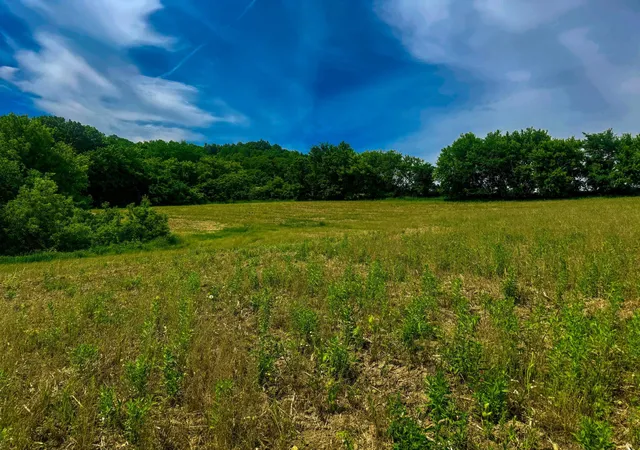 Homes for sale in Arcadia, WI | 0 County Rd Jj, Arcadia, WI 54612 | MLS# 7086769
