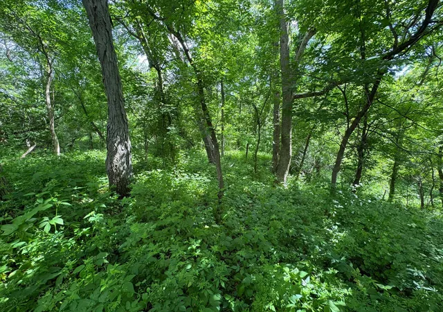 Homes for sale in Arcadia, WI | 0 County Rd Jj, Arcadia, WI 54612 | MLS# 7086769