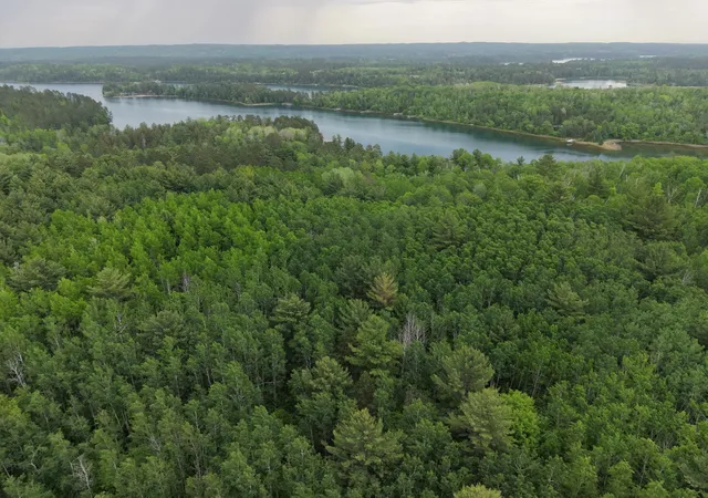 2nd image of Tbd 290th St, Park Rapids, MN 56470 | MLS# 7086791
