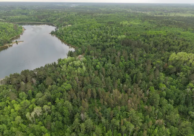 5th image of Tbd 290Th St, Park Rapids, MN 56470 | MLS# 7086791