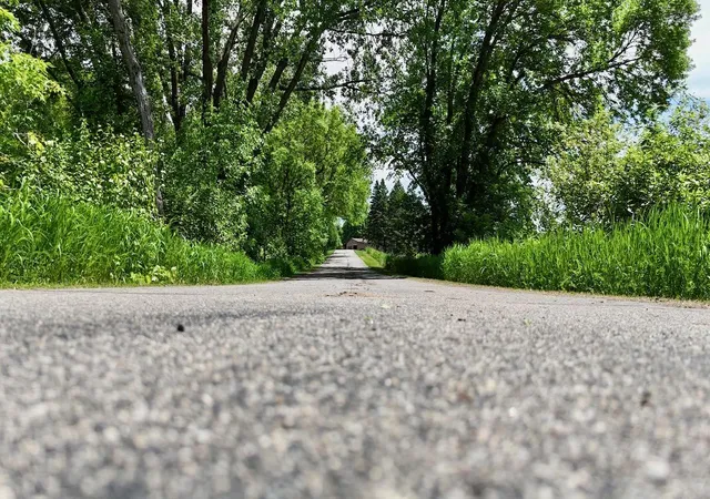 5th image of 44662 County Hwy 31, Pelican Rapids, MN 56572 | MLS# 7086908