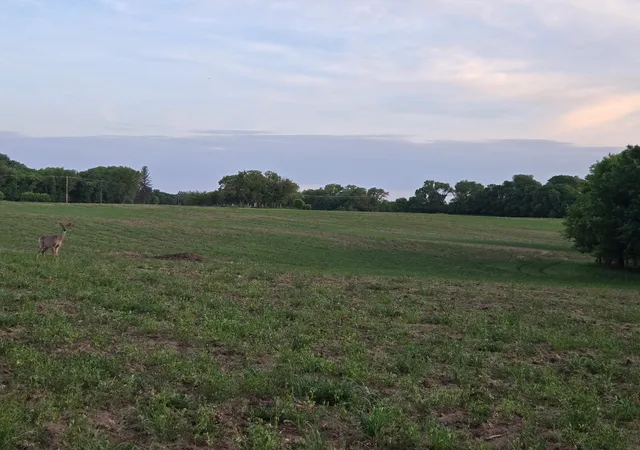 3rd image of Tbd Parcel A County Rd 5 Nw, Princeton, MN 55371 | MLS# 7086976