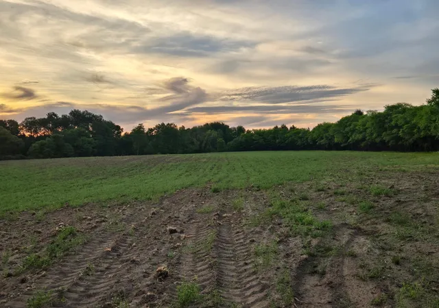 4th image of Tbd Parcel A County Rd 5 Nw, Princeton, MN 55371 | MLS# 7086976