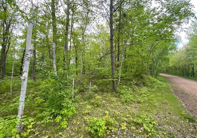 Homes for sale in Minong, WI | 000 Hustvet, Minong, WI 54888 | MLS# 7087028