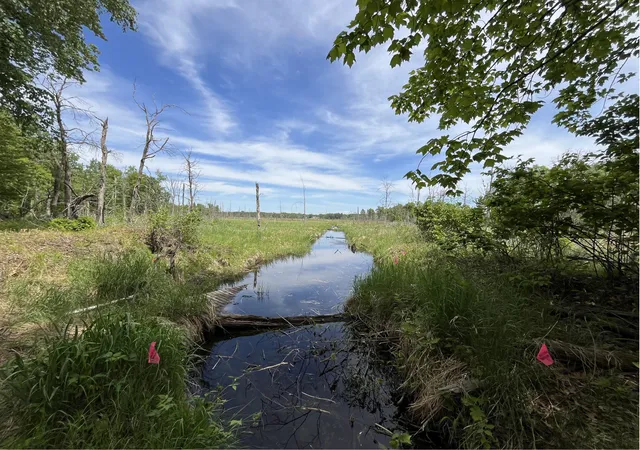 2nd image of 13384 Sorenson Lake Rd, Merrifield, MN 56465 | MLS# 7087088
