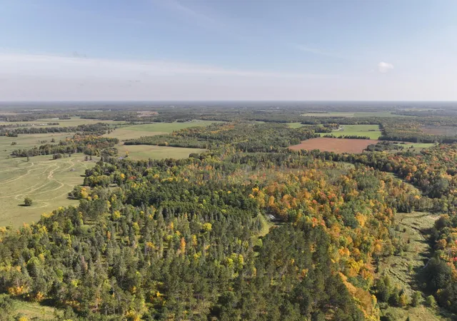 1st image of Lot D 67ac N Blackduck Lake Rd, Hines, MN 56647 | MLS# 7087255