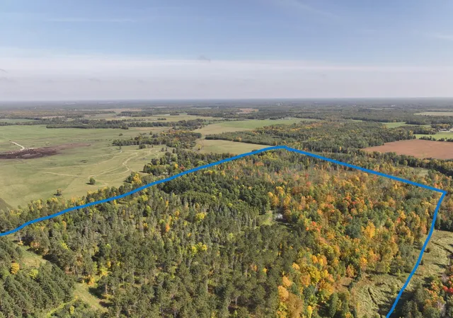 6th image of Lot D 67ac N Blackduck Lake Rd, Hines, MN 56647 | MLS# 7087255