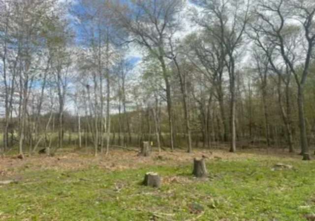 Photo 3 of Land for sale at 4188 161st Lane Ne, Andover, MN 55304 | MLS# 7087863 | Listing updated on 2026-08-07