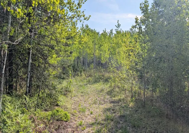 Photo 3 of Land for sale at 7573 Thumbnail Dr, Embarrass, MN 55732 | MLS# 7088212 | Listing updated on 2026-08-22