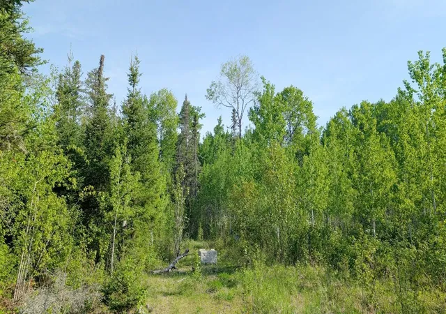 Photo 3 of Land for sale at 7573 Thumbnail Dr, Embarrass, MN 55732 | MLS# 7088212 | Listing updated on 2026-08-22