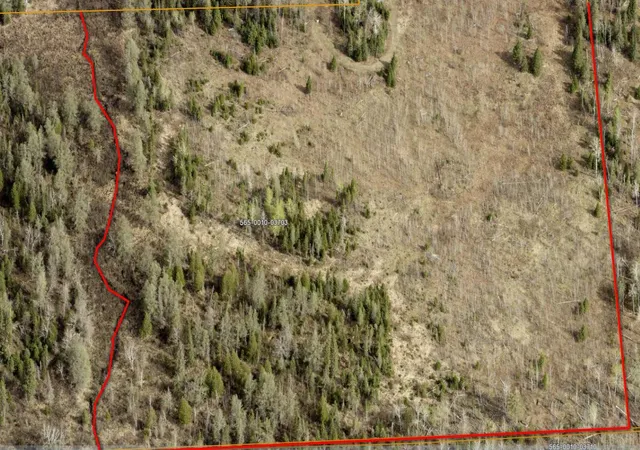 Photo 4 of Land for sale at 7573 Thumbnail Dr, Embarrass, MN 55732 | MLS# 7088212 | Listing updated on 2026-08-22