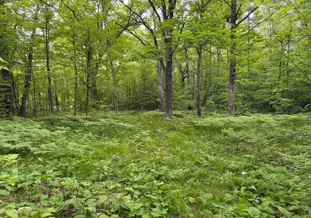 1st image of Tbd Sandhill Crane Ln, Pine City, MN 55063 | MLS# 7088385