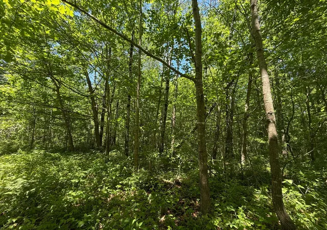 27th image of Tbd Sandhill Crane Ln, Pine City, MN 55063 | MLS# 7088385