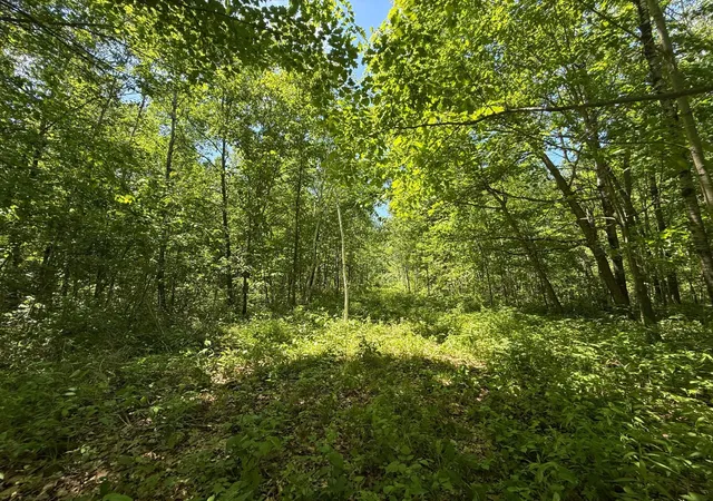2nd image of Tbd Sandhill Crane Ln, Pine City, MN 55063 | MLS# 7088385