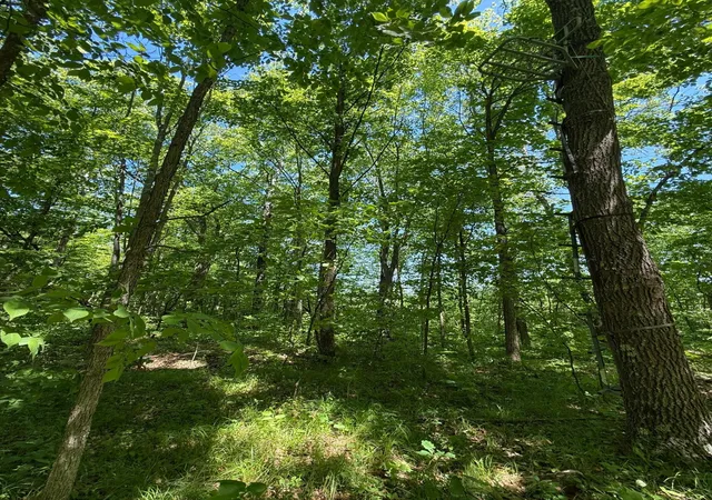 4th image of Tbd Sandhill Crane Ln, Pine City, MN 55063 | MLS# 7088385