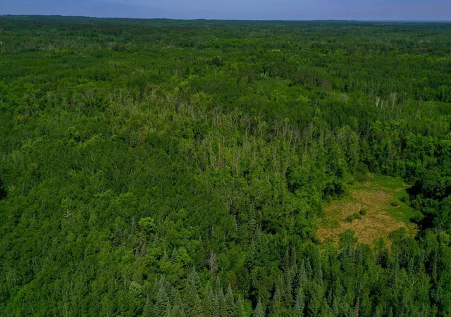 Homes for sale in Osage, MN | Tbd County Hwy 47, Osage, MN 56570 | MLS# 7088599