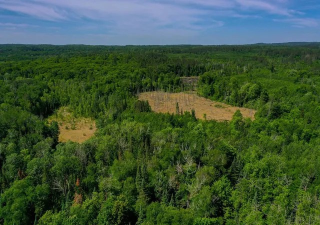 Homes for sale in Osage, MN | Tbd County Hwy 47, Osage, MN 56570 | MLS# 7088599