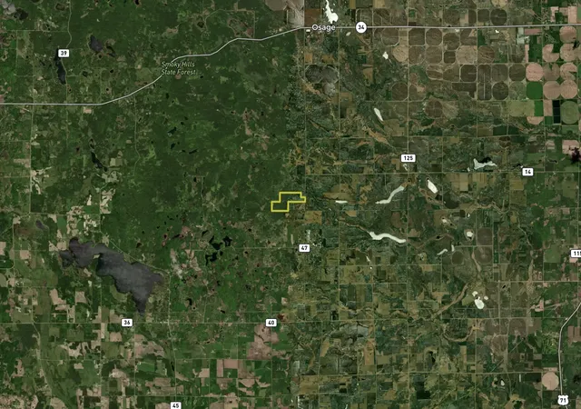 Homes for sale in Osage, MN | Tbd County Hwy 47, Osage, MN 56570 | MLS# 7088599