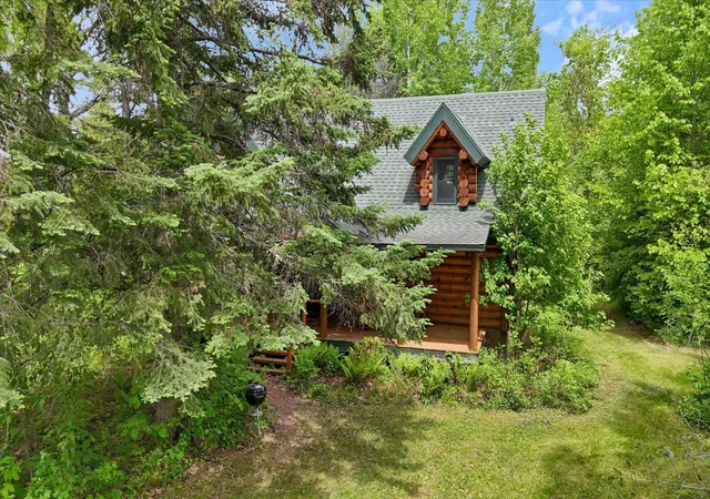 Homes for sale in Effie, MN | 24354 E Deer Lake Access Rd, Effie, MN 56639 | MLS# 7088637