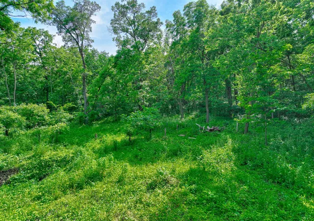 Photo 4 of Land for sale at 660 100th Street, Roberts, WI 54023 | MLS# 7088651 | Listing updated on 2026-06-15