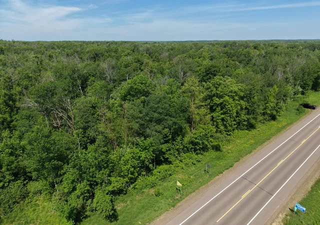 Homes for sale in Isle, MN | Tbd Hwy 65, Isle, MN 56342 | MLS# 7088659