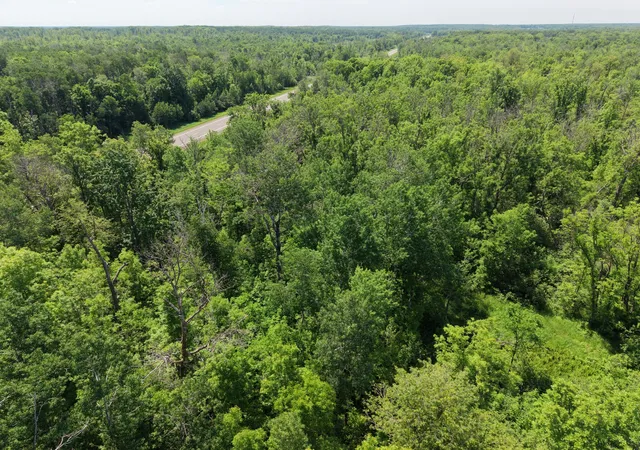 Homes for sale in Isle, MN | Tbd Hwy 65, Isle, MN 56342 | MLS# 7088659