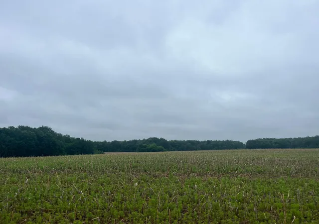 1st image of Tbd (lot 1) Hemingway Ave, North Branch, MN 55056 | MLS# 7088826