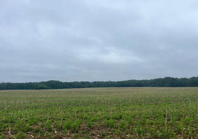 1st image of Tbd (lot 2) Hemingway Ave, North Branch, MN 55056 | MLS# 7088835