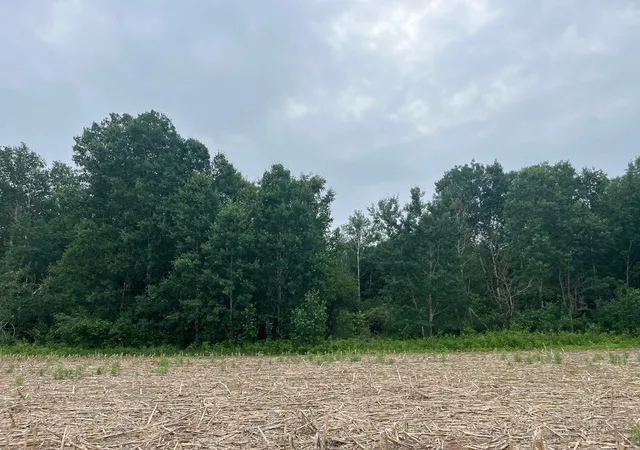 3rd image of Tbd (Lot 2) Hemingway Ave, North Branch, MN 55056 | MLS# 7088835