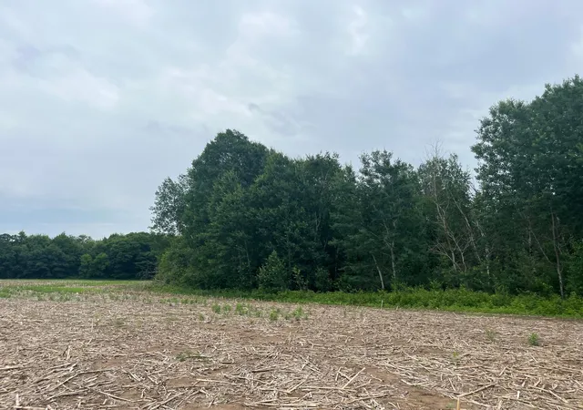 4th image of Tbd (Lot 2) Hemingway Ave, North Branch, MN 55056 | MLS# 7088835
