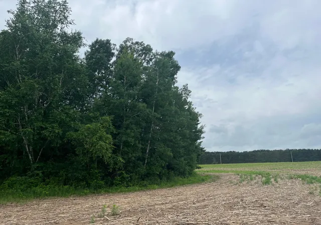5th image of Tbd (Lot 2) Hemingway Ave, North Branch, MN 55056 | MLS# 7088835