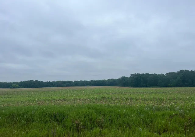 Photo 1 of Land for sale at Tbd (lot 3) Hemingway Ave, North Branch, MN 55056 | MLS# 7088837 | Listing updated on 2026-09-22
