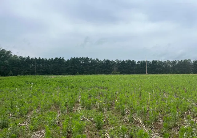 Photo 1 of Land for sale at Tbd (lot 4) Hemingway Ave, North Branch, MN 55056 | MLS# 7088839 | Listing updated on 2026-09-22