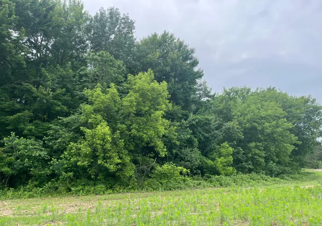 Photo 3 of Land for sale at Tbd (lot 4) Hemingway Ave, North Branch, MN 55056 | MLS# 7088839 | Listing updated on 2026-09-22