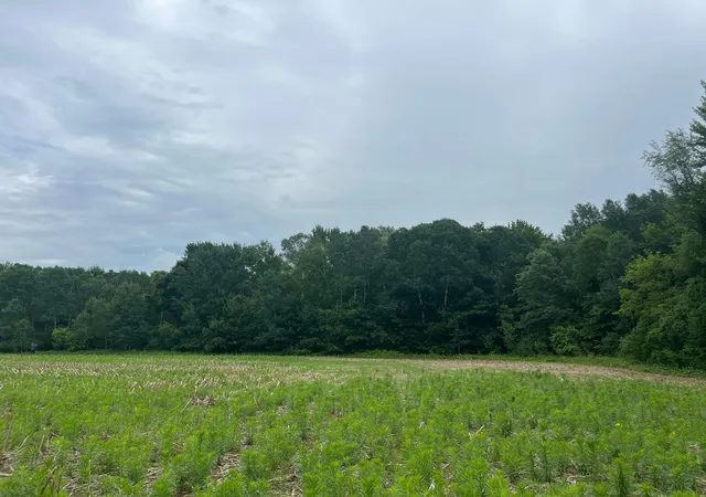 Photo 3 of Land for sale at Tbd (lot 4) Hemingway Ave, North Branch, MN 55056 | MLS# 7088839 | Listing updated on 2026-09-22