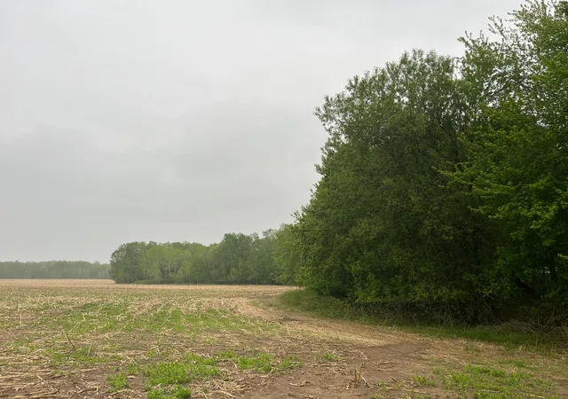 Photo 4 of Land for sale at Tbd (lot 4) Hemingway Ave, North Branch, MN 55056 | MLS# 7088839 | Listing updated on 2026-09-22