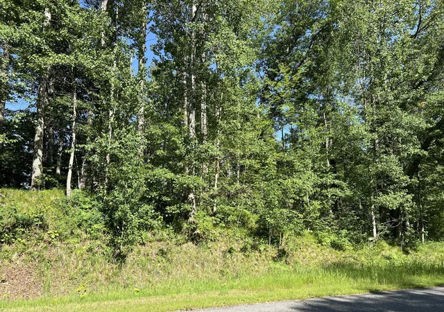 Photo 2 of Land for sale at Lot 8 Terminal Rd, Pequot Lakes, MN 56472 | MLS# 7088881 | Listing updated on 2026-06-17