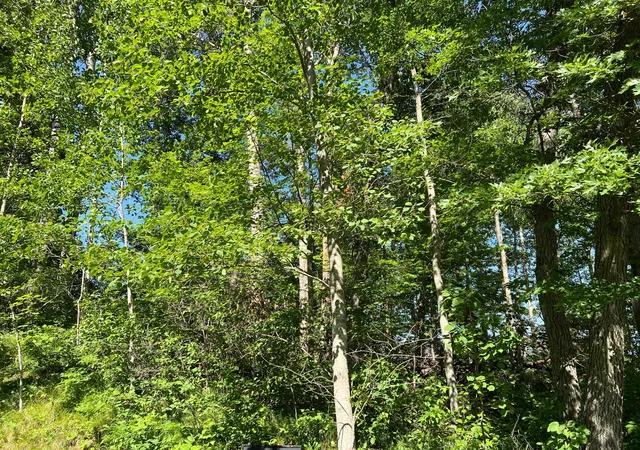 Photo 4 of Land for sale at Lot 8 Terminal Rd, Pequot Lakes, MN 56472 | MLS# 7088881 | Listing updated on 2026-06-17