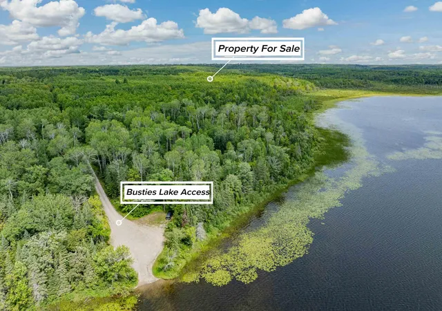 Homes for sale in Effie, MN | 67488 Busties Lake Access, Effie, MN 56639 | MLS# 7088883