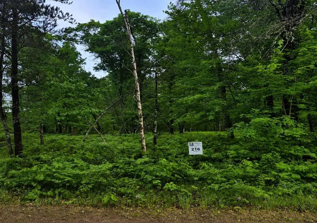 Homes for sale in Danbury, WI | Lot 216 Deerpath Road, Danbury, WI 54830 | MLS# 7088890