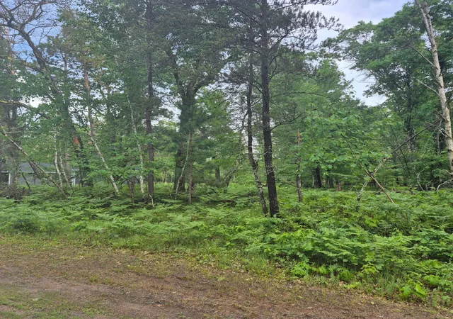 Homes for sale in Danbury, WI | Lot 216 Deerpath Road, Danbury, WI 54830 | MLS# 7088890